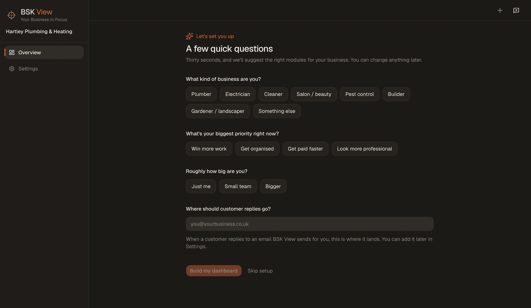 A brand new BSK View workspace on its setup screen, asking what kind of business you are, what your biggest priority is and roughly how big you are. The sidebar holds two items: Overview and Settings.